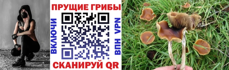 Галлюциногенные грибы GOLDEN TEACHER  Ленинградская 